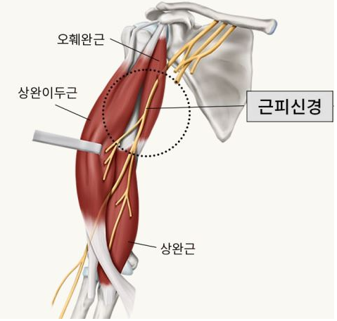 엠스타일 이미지