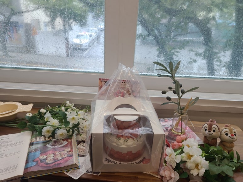 보꾸시루 이미지