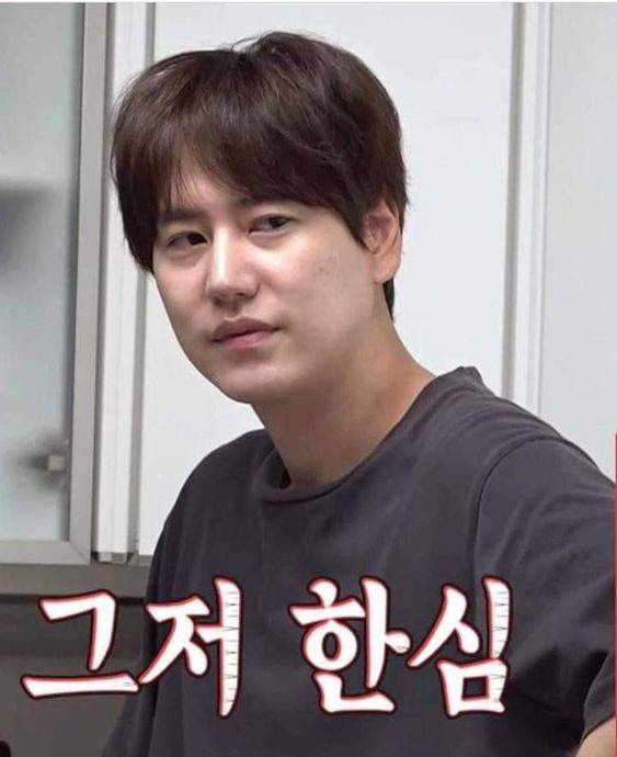 스카이라인주 이미지