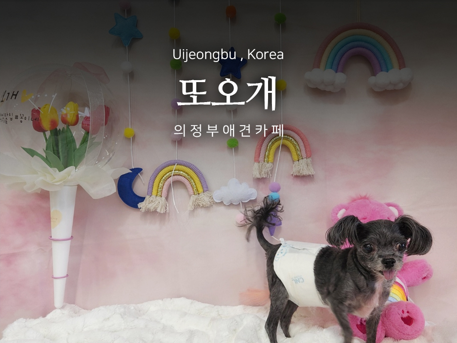 또오개 이미지