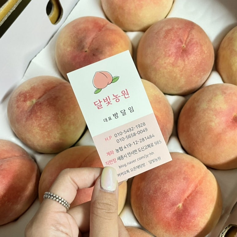 주영농원 이미지