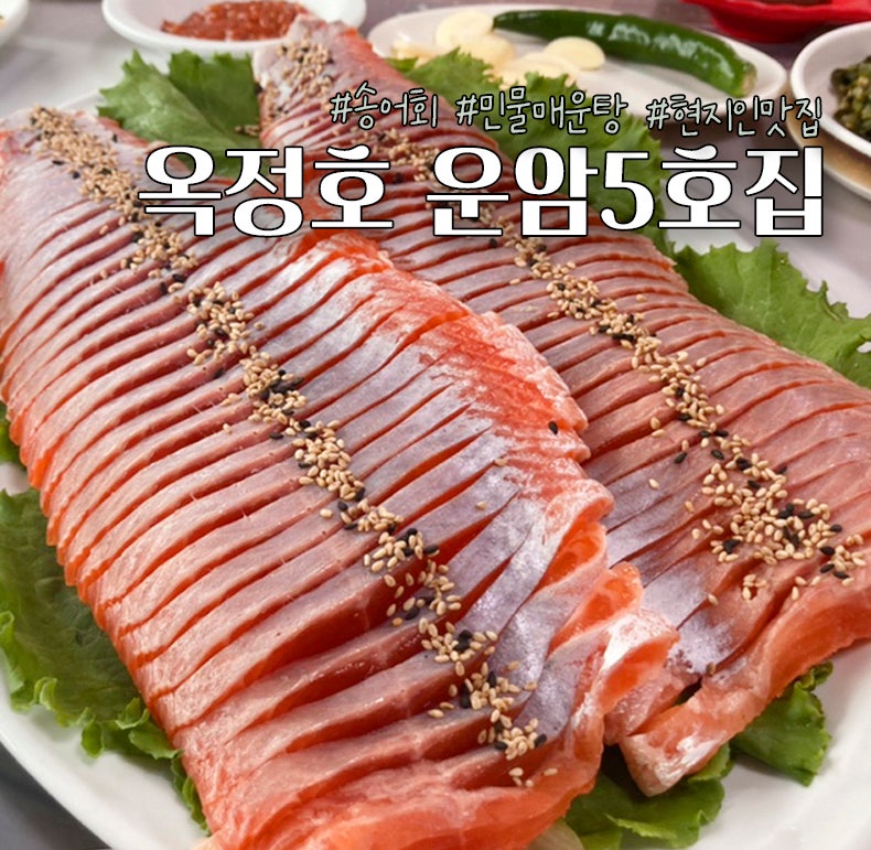 운암5호 이미지