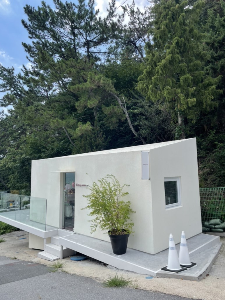 달맞이언니 이미지