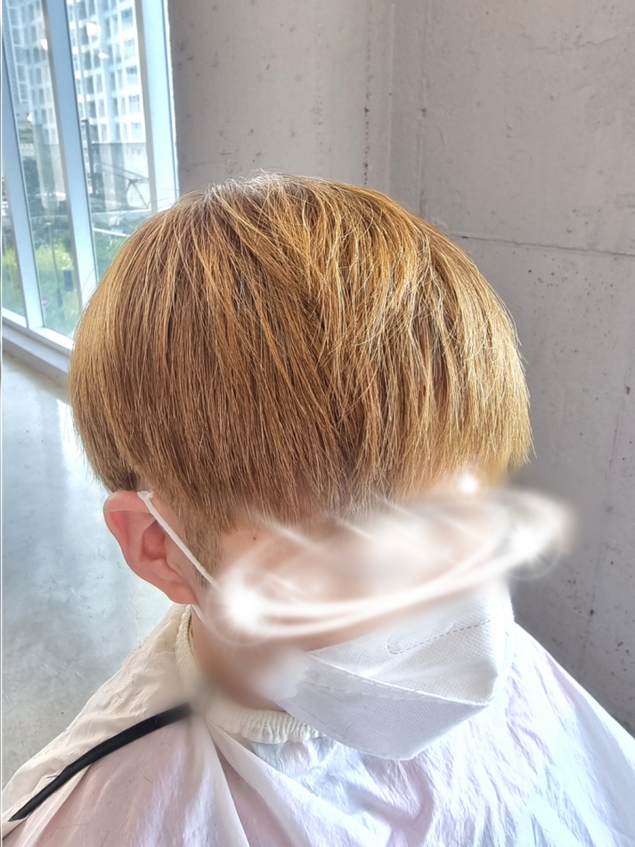 란훈빠마 이미지