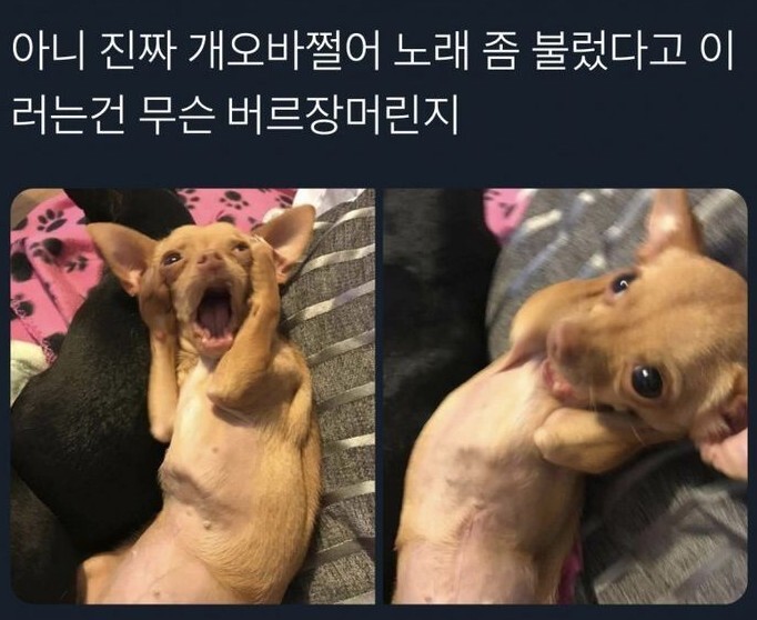 버르장머리 이미지