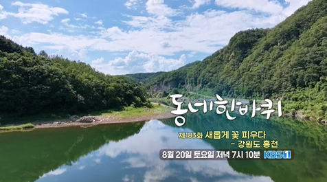 대운올챙이 이미지