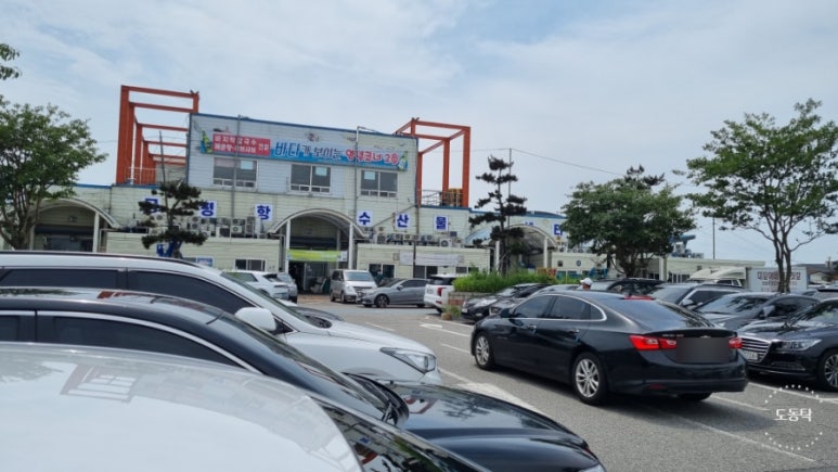 궁평항3호 이미지