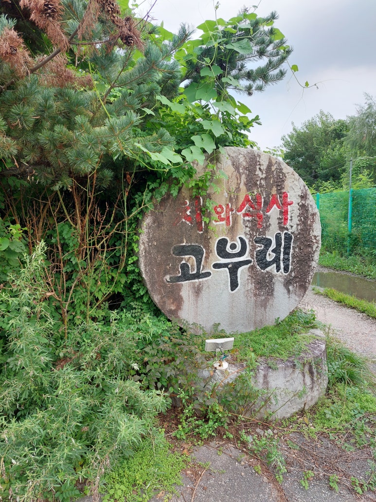 고부레 이미지