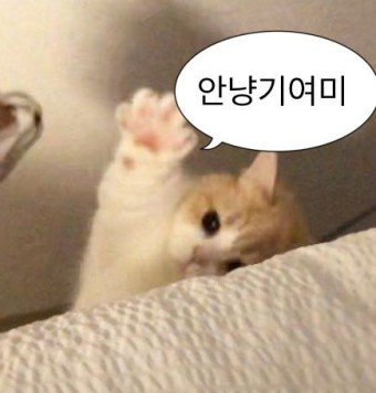 나인곱창 이미지