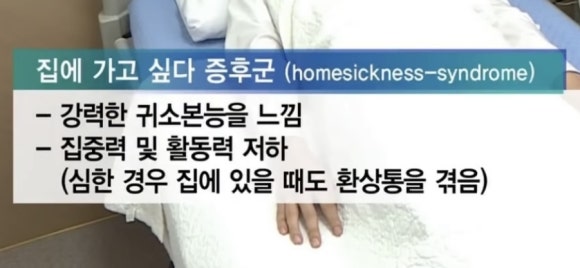 일상수집가 이미지
