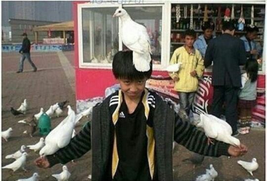 굽스 이미지