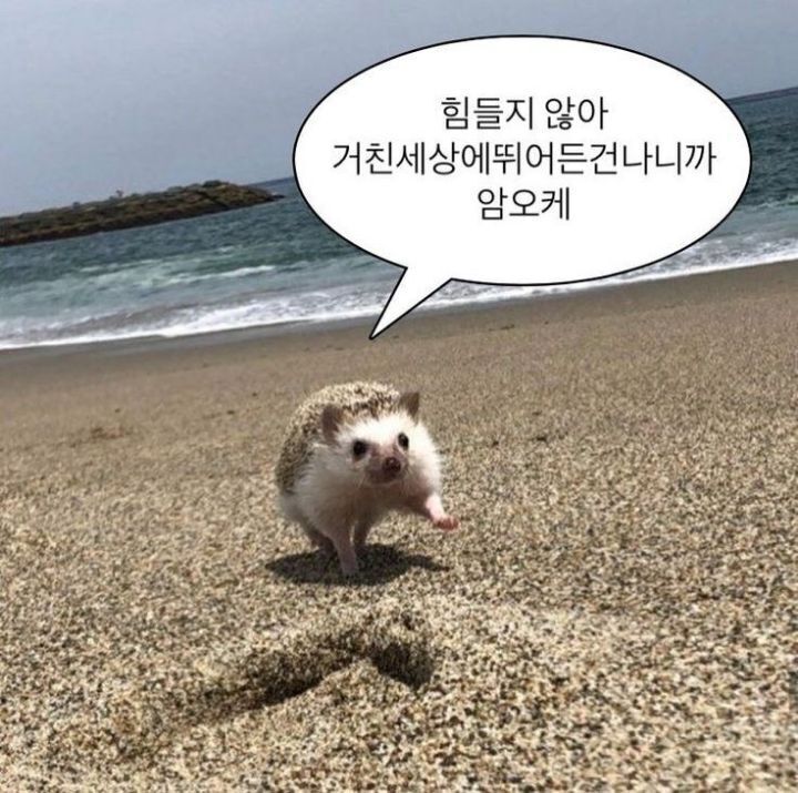 (주)에슬로우 이미지