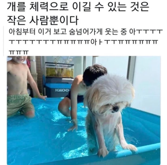 부평스카이 이미지