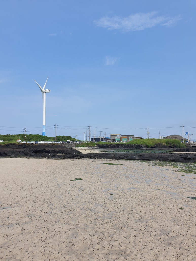 보말삼춘 이미지