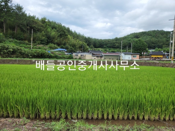 보성IC 이미지