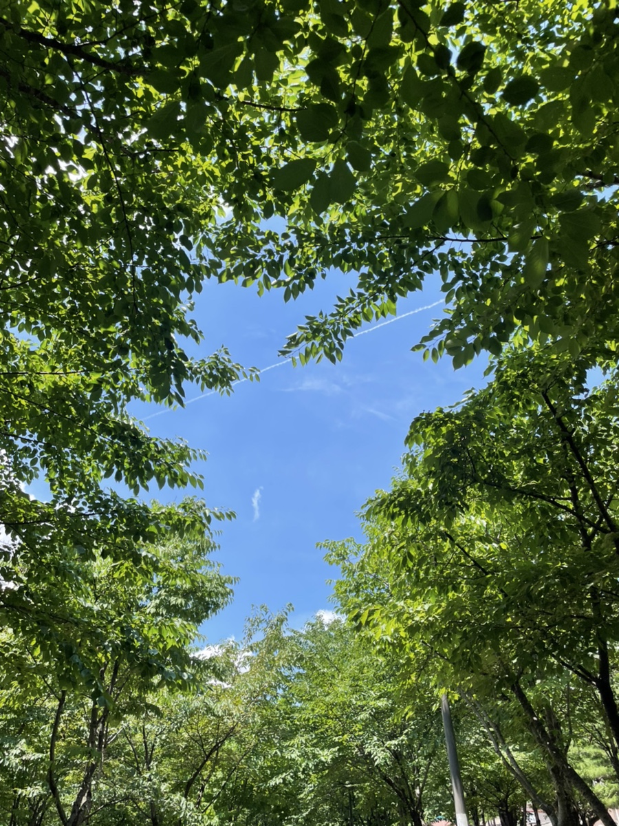 그린앤그린 이미지