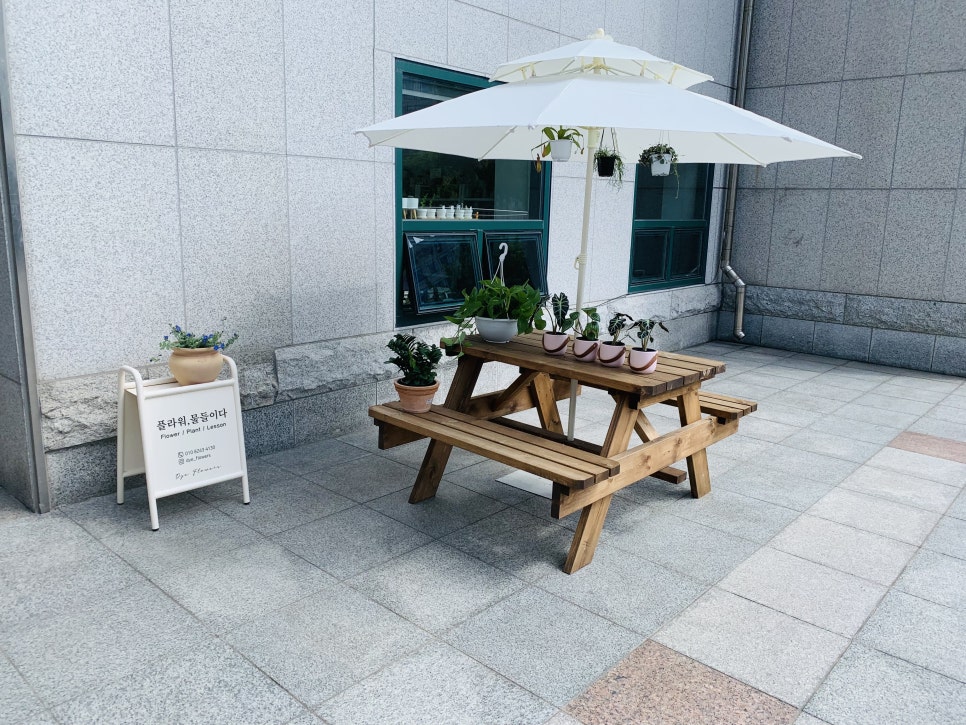 플라워물들이다 이미지