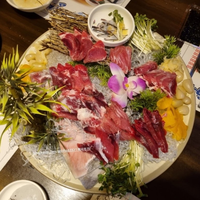 생생도도참치 이미지