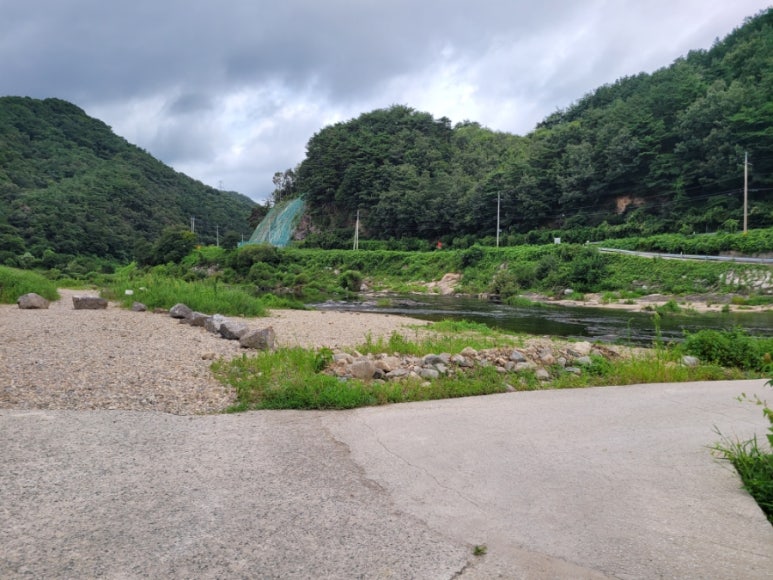 강변사리 이미지