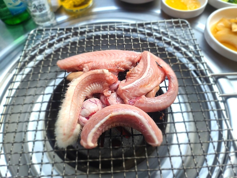 부산곰장어 이미지