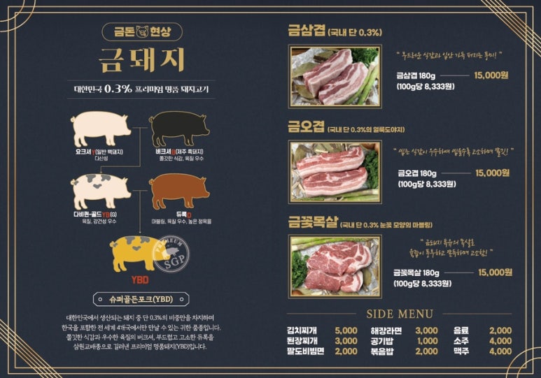 금돈 이미지