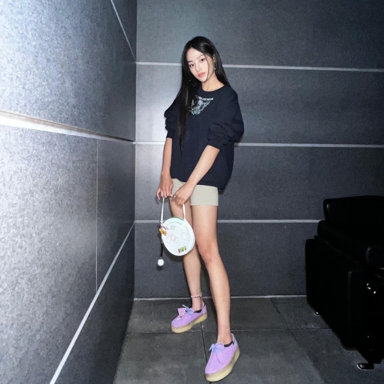 디노아 이미지