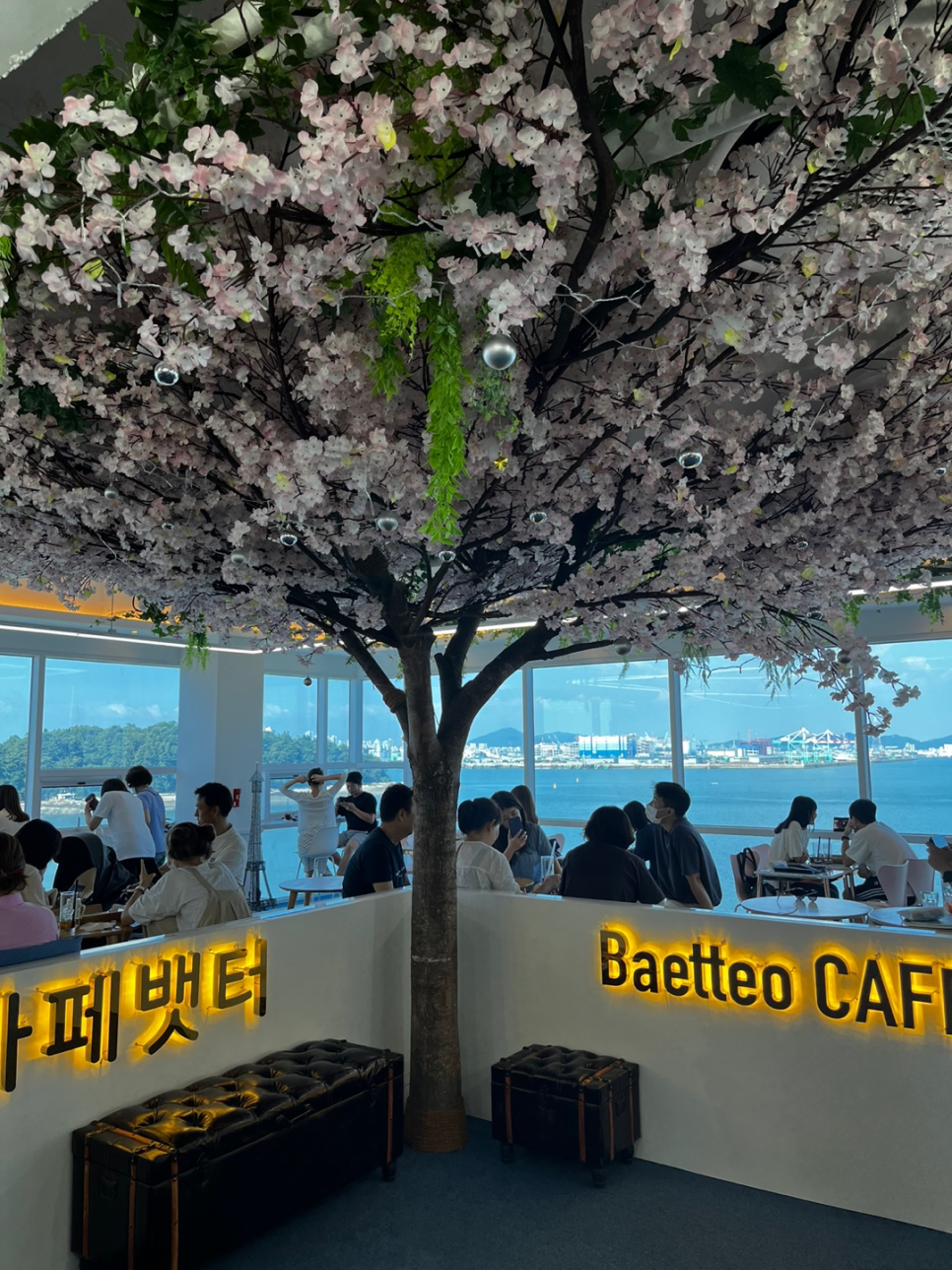 카페은하수1 이미지