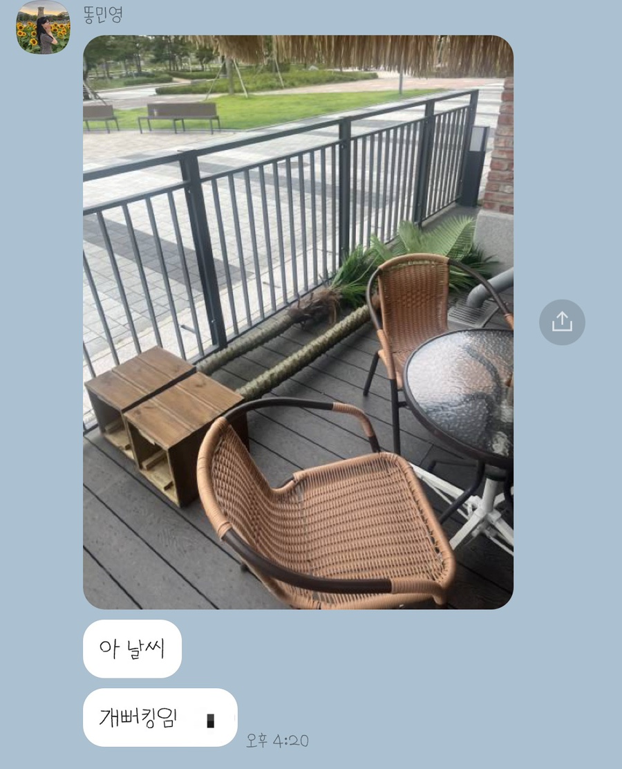 정수연김밥 이미지