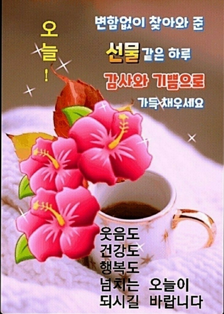 생생리얼수산시장 이미지