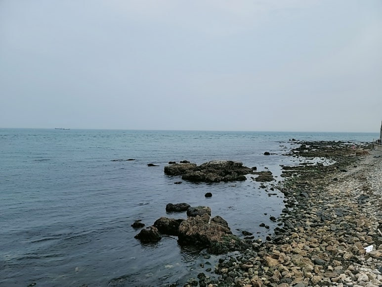 바다조개구이 이미지