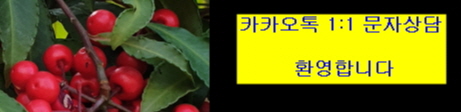 하이트라인의원 이미지
