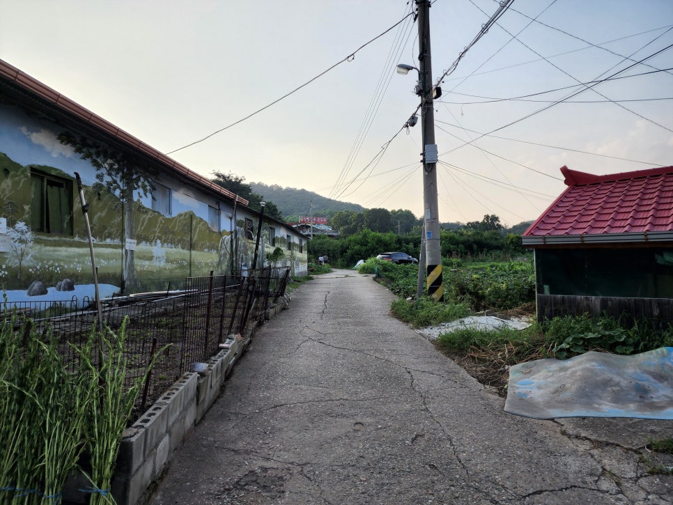 칠성농원 이미지
