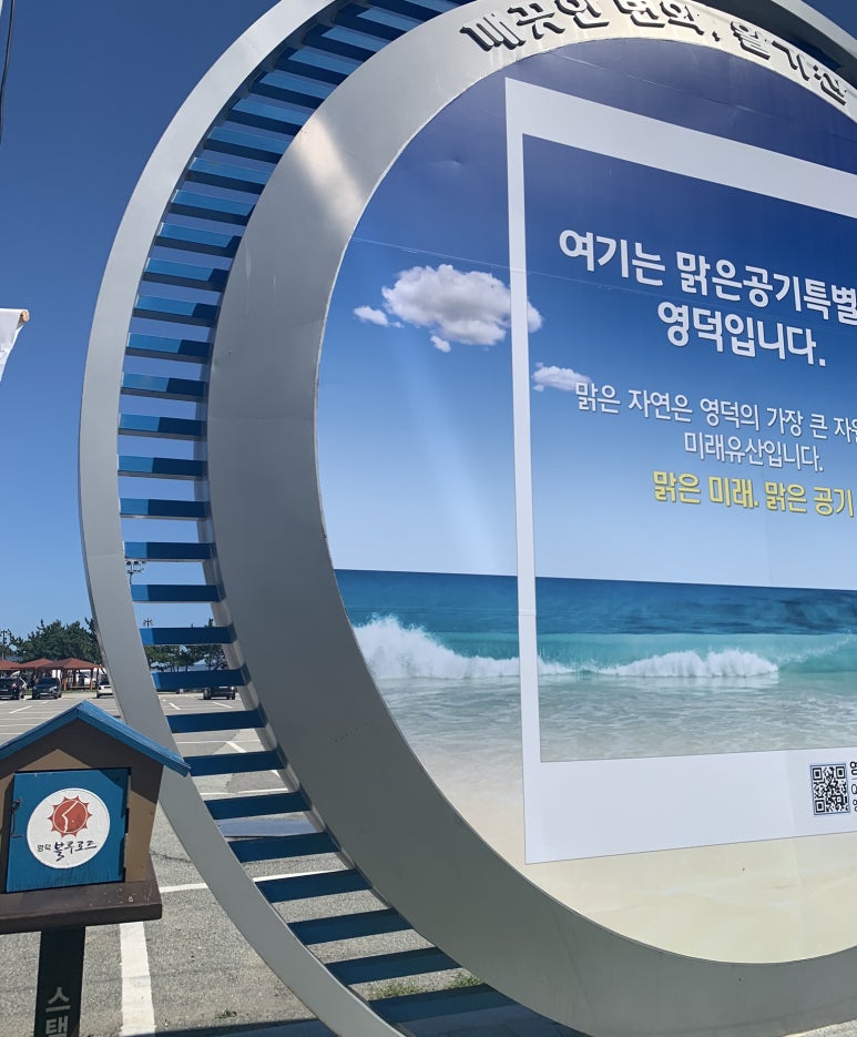 싹디 이미지