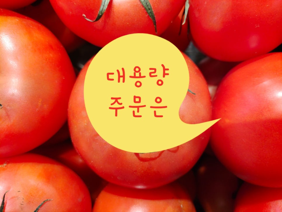 태양문구마트 이미지