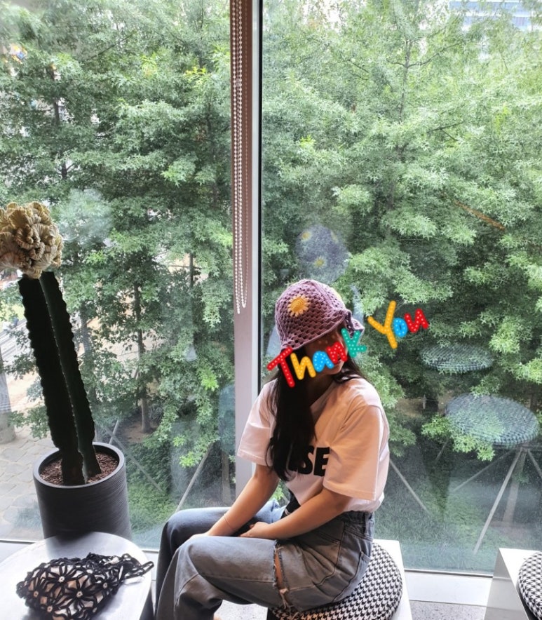 코튼데이지 이미지
