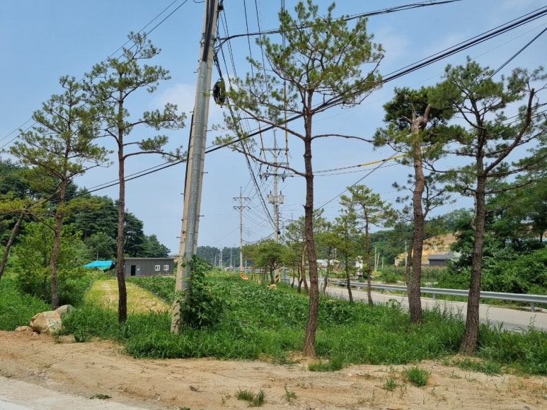 그루조경사무소 이미지
