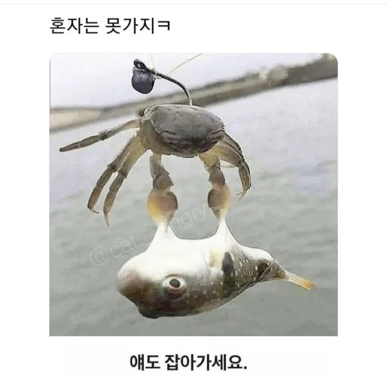 창동포차 이미지