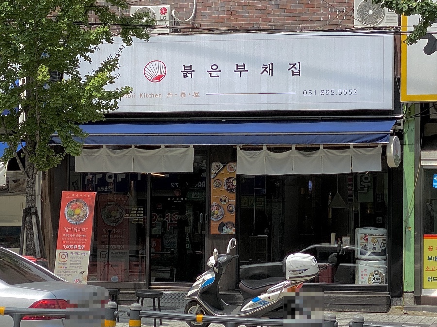 붉은부채집 이미지