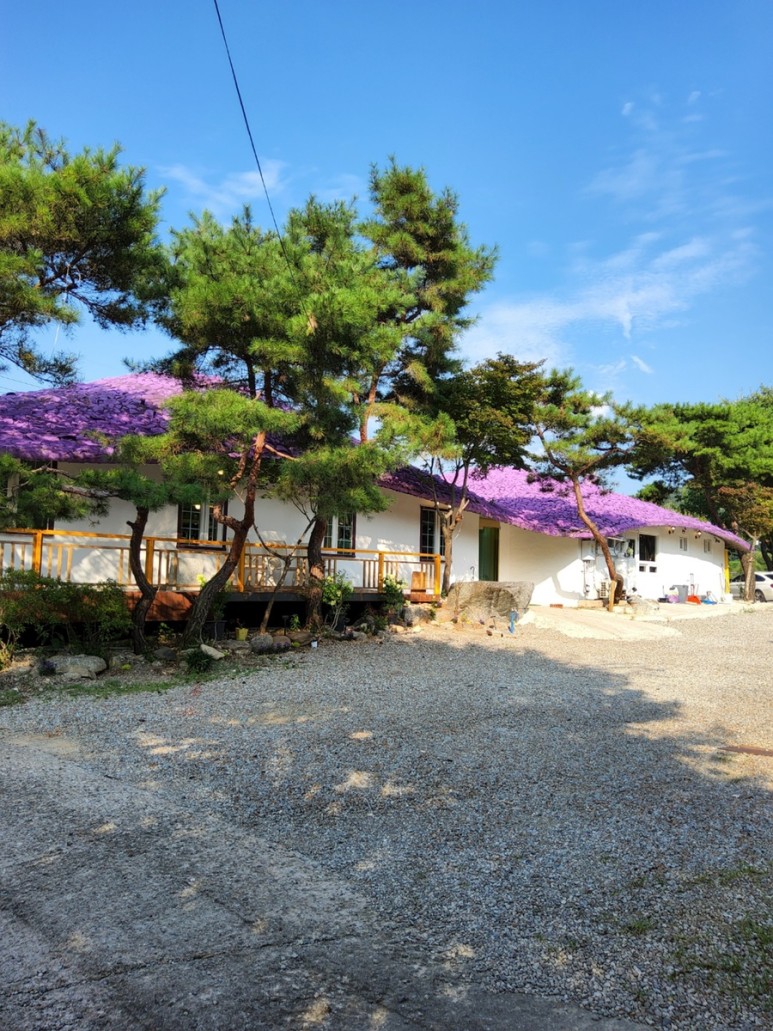 우노치안또쇼룸 이미지