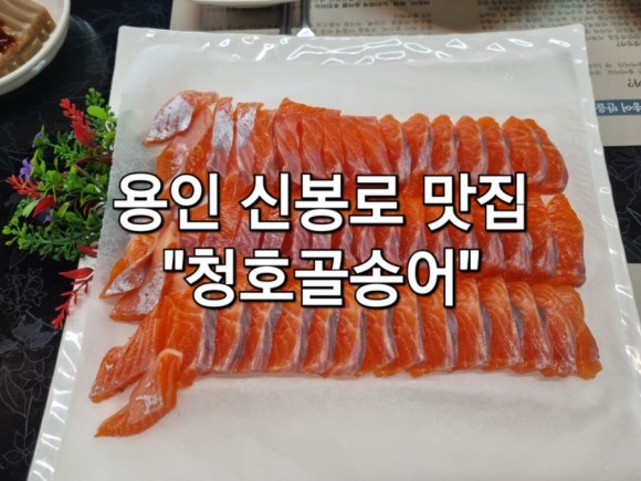 청호골송어 이미지