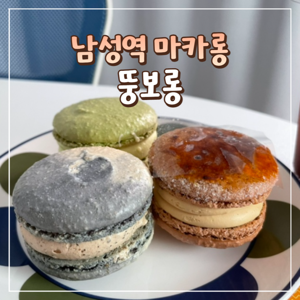 뚱보롱 이미지