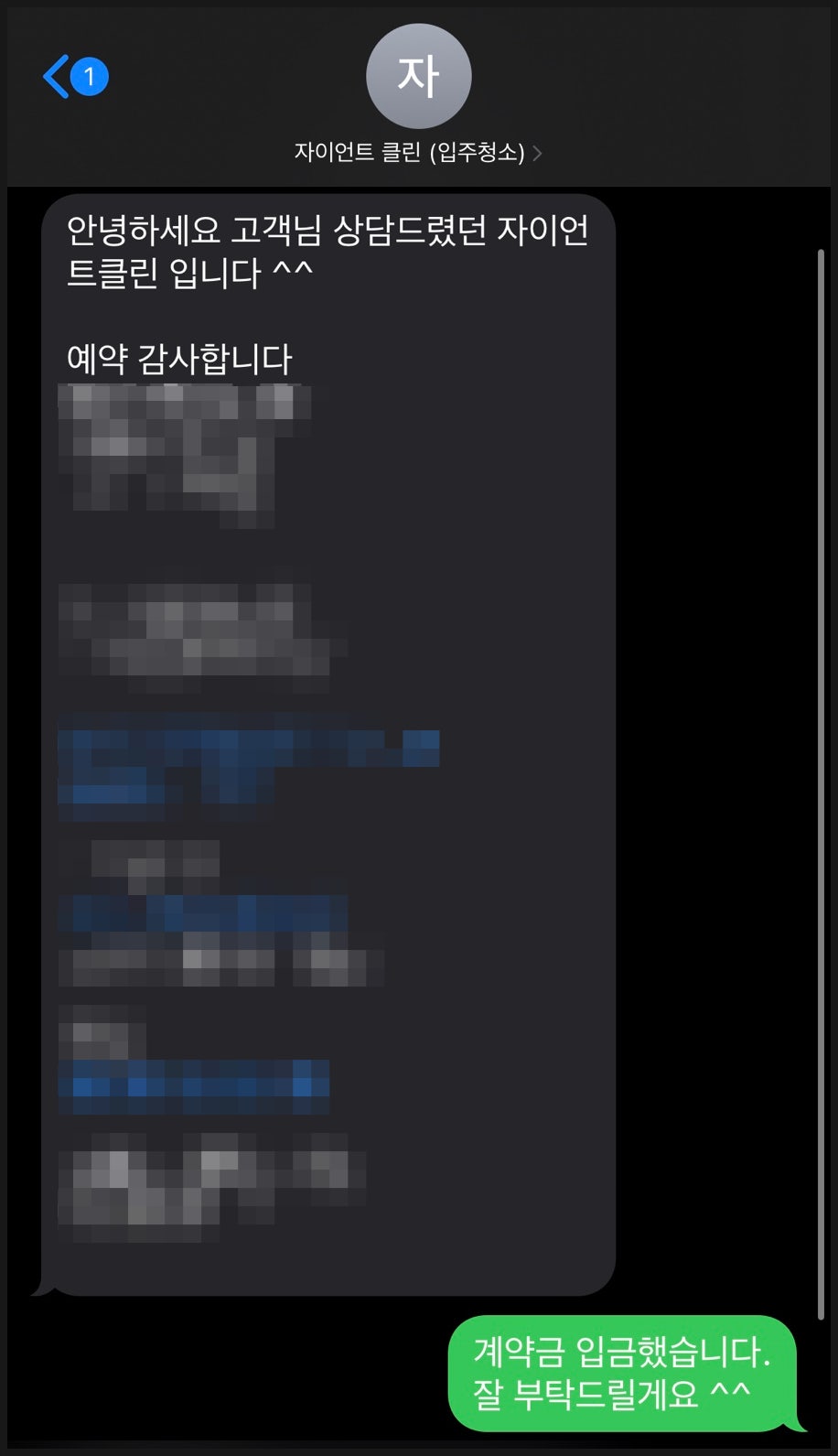자이언트 클린 이미지