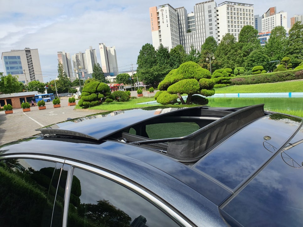 동수카 이미지