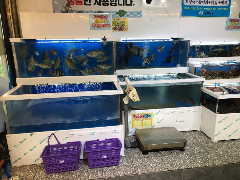 활어장군쉼터 이미지