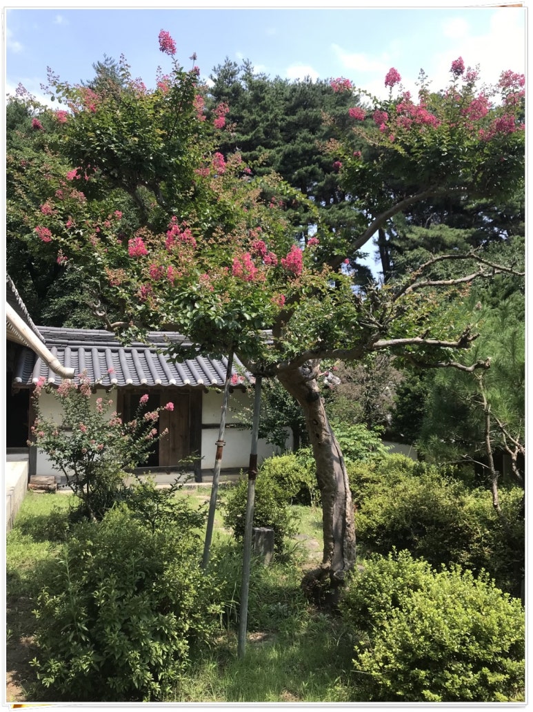 삼선고택 이미지