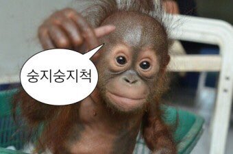 미트앤테이블 이미지