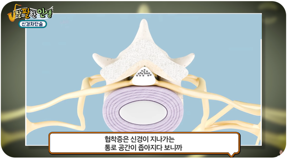 제일정형외과병원 이미지