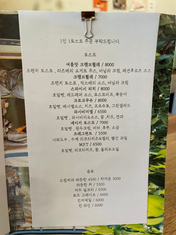세이지핀치 이미지