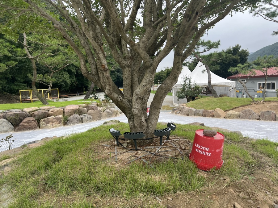 장성직구 이미지