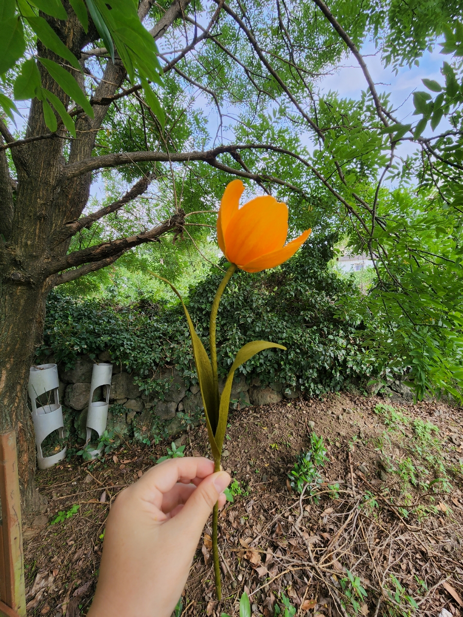 나비플라워제주 이미지